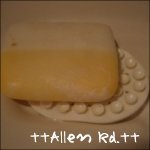 石鹸受け-吸盤