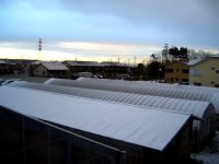 20080117001.jpg