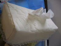 20080524001.jpg