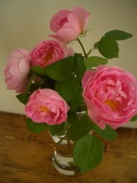 20080524002.jpg