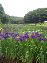 20080601001.jpg